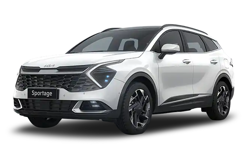 스노우 화이트 펄 익스테리어